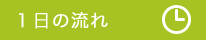 １日の流れ